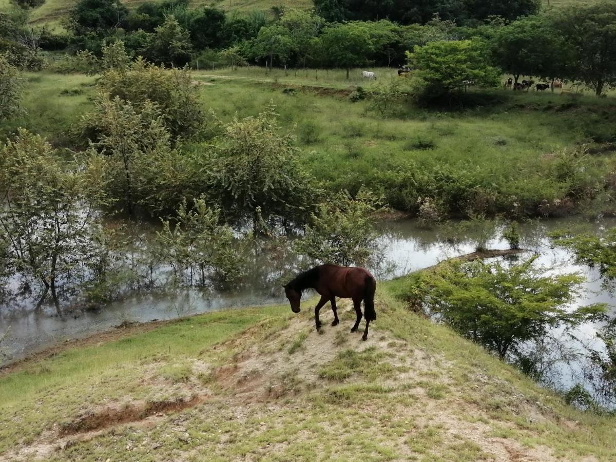 Finca Ecoturistica Los Jagueyes Baraya Eksteriør billede