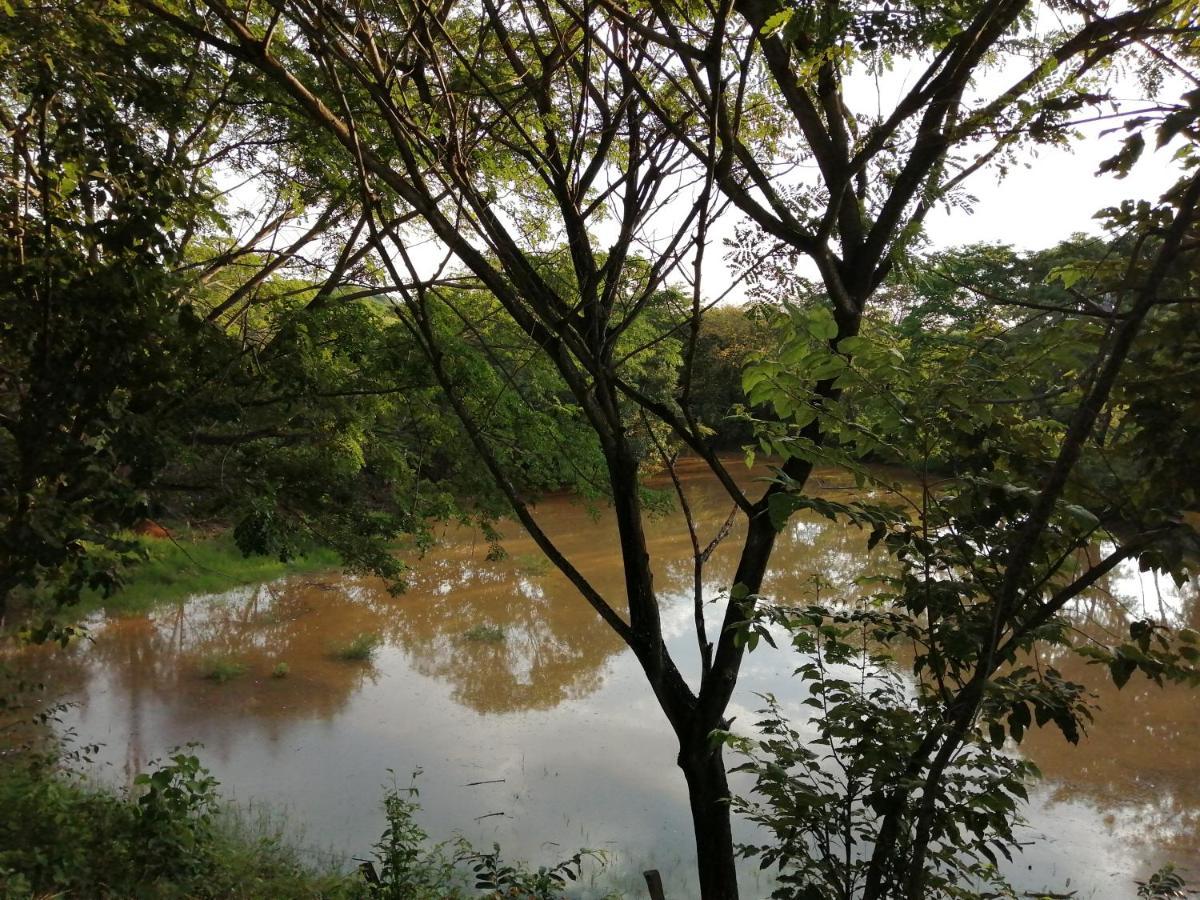 Finca Ecoturistica Los Jagueyes Baraya Eksteriør billede
