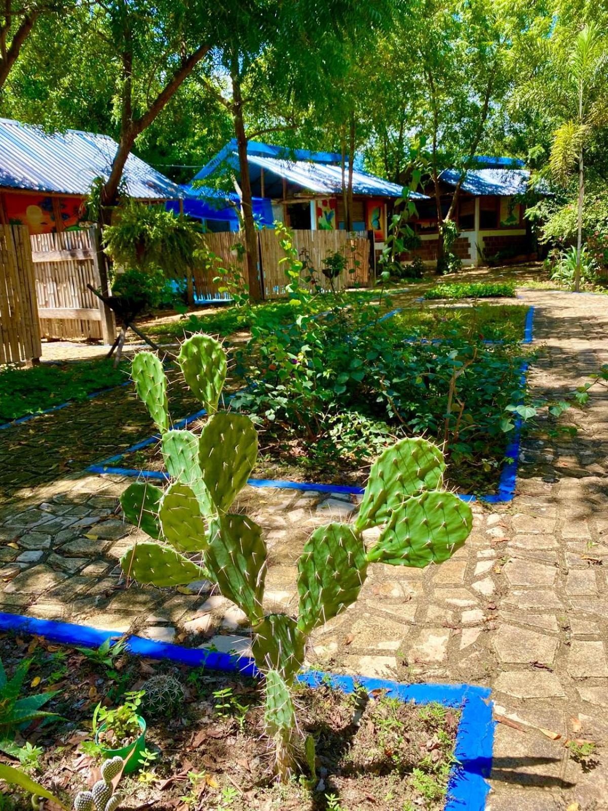 Finca Ecoturistica Los Jagueyes Baraya Eksteriør billede