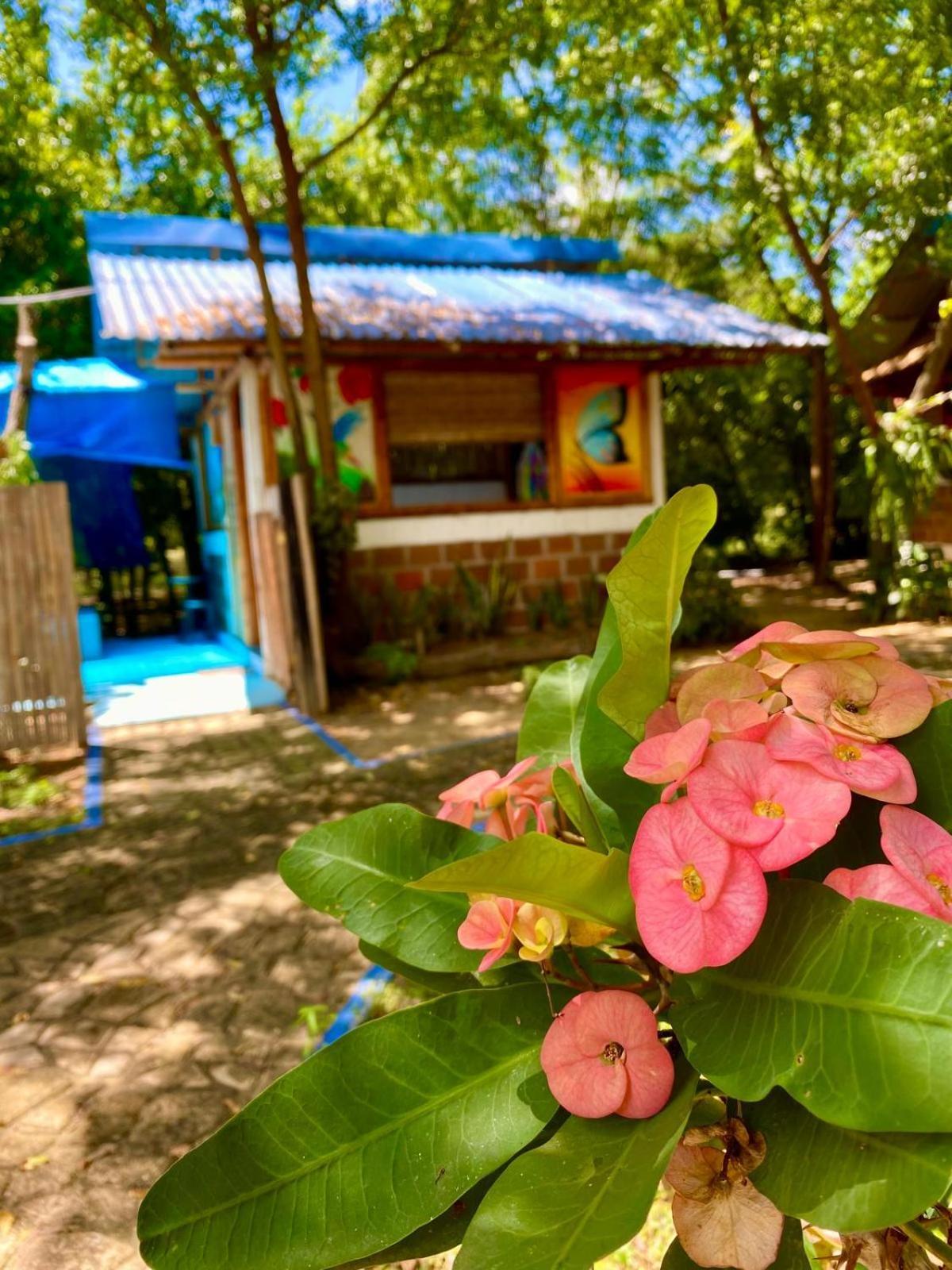 Finca Ecoturistica Los Jagueyes Baraya Eksteriør billede