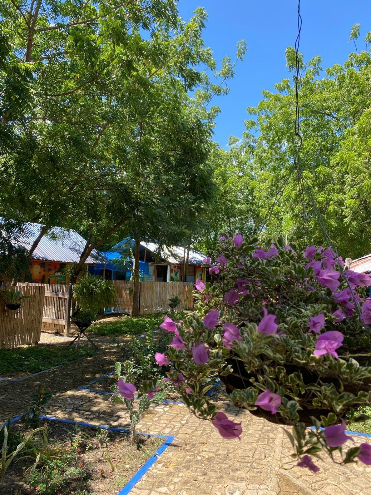Finca Ecoturistica Los Jagueyes Baraya Eksteriør billede